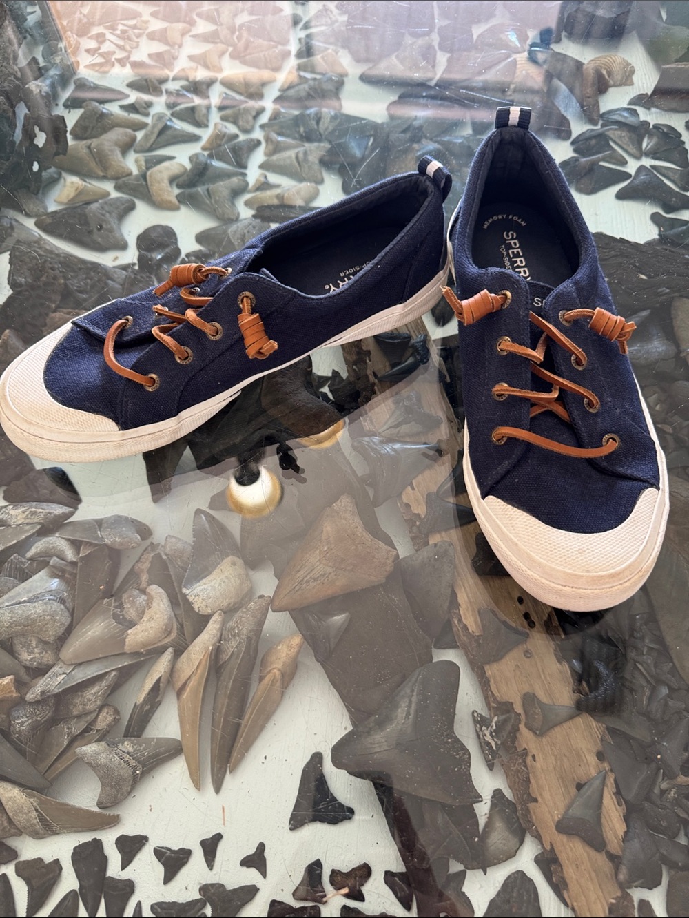 Sperry Navy Canvas Low-Top Sneakers with Tan Laces